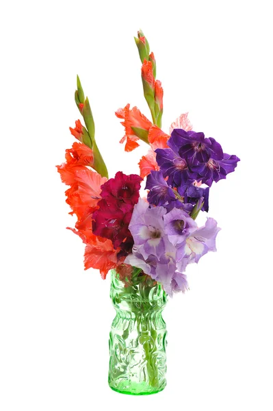 Bouquet of gladioluses — Stock Photo, Image