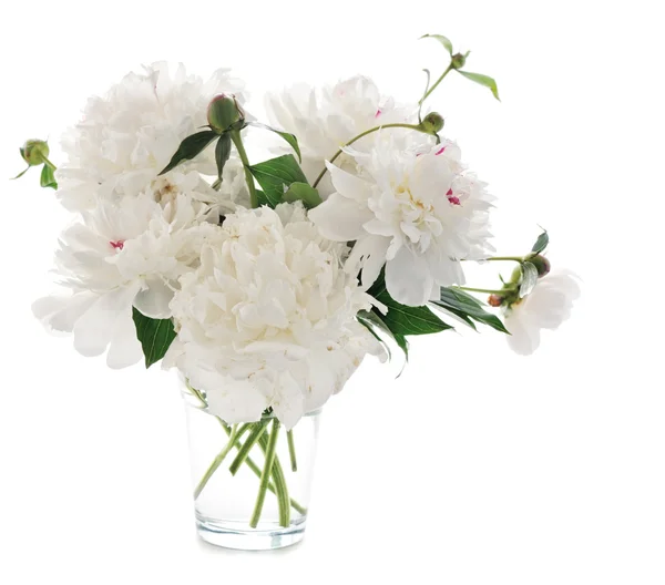 White peony — Stock Photo, Image