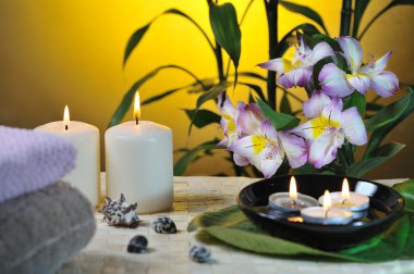Spa natürmort bambu