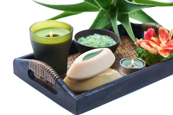 Aloe spa — Fotografia de Stock