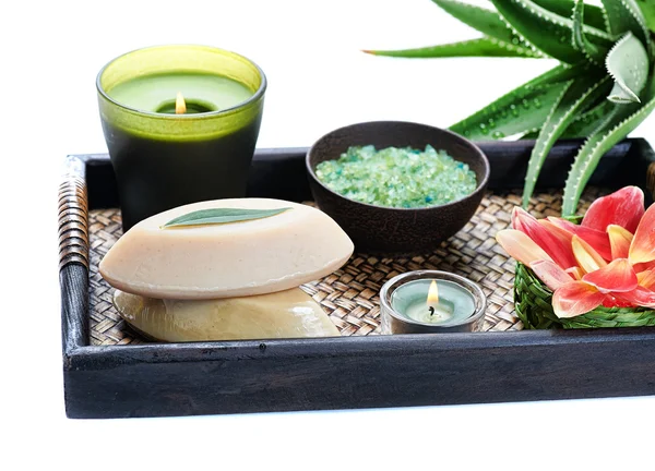 Aloe spa — Fotografia de Stock