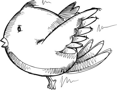 kuş kroki çizim vektör