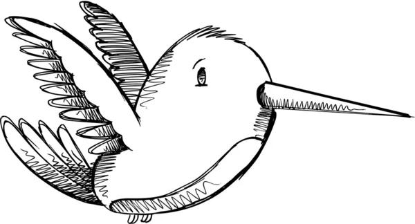 Cute Hummingbird Sketch Drawing Vector Art — Stock Vector