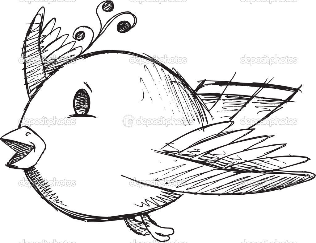 Cute Doodle Sketch Bird Vector Illustration Art