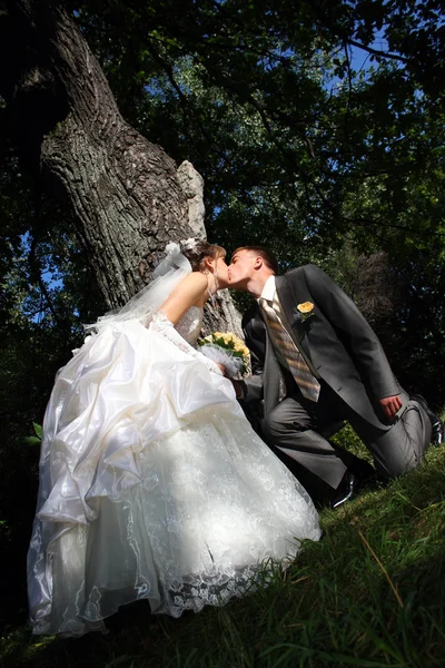 El beso del novio y la novia Fotos De Stock