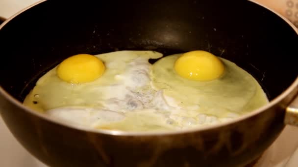 Τηγανητά αυγά τηγάνισμα — Αρχείο Βίντεο