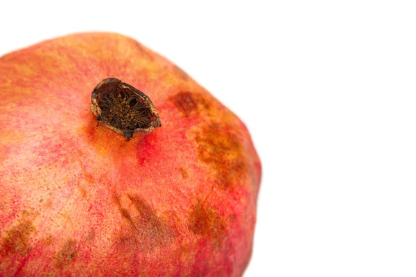 Red pomegranate — Stock Photo, Image