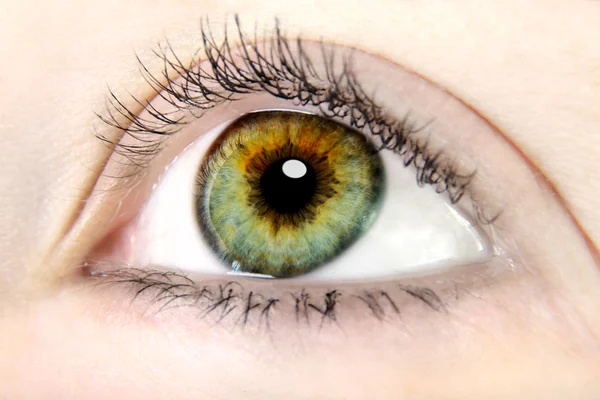 Eye close up — Stock Photo, Image