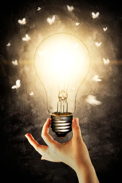 ışık üzerinde uçan güveler