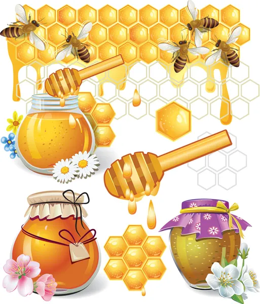 Conjunto de mel — Vetor de Stock