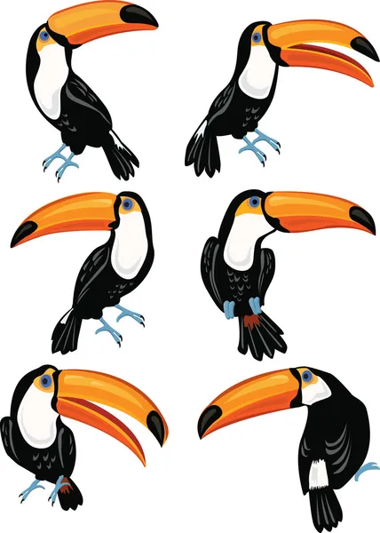 Σύνολο toucans — Διανυσματικό Αρχείο