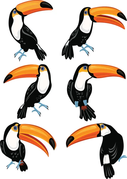 Toucans kümesi — Stok Vektör