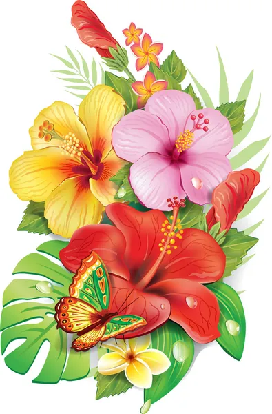 Bouquet of tropical flowersv — Stock Vector