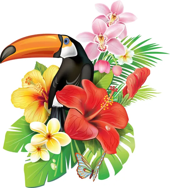 Tropical flowers and toucan — Stock Vector