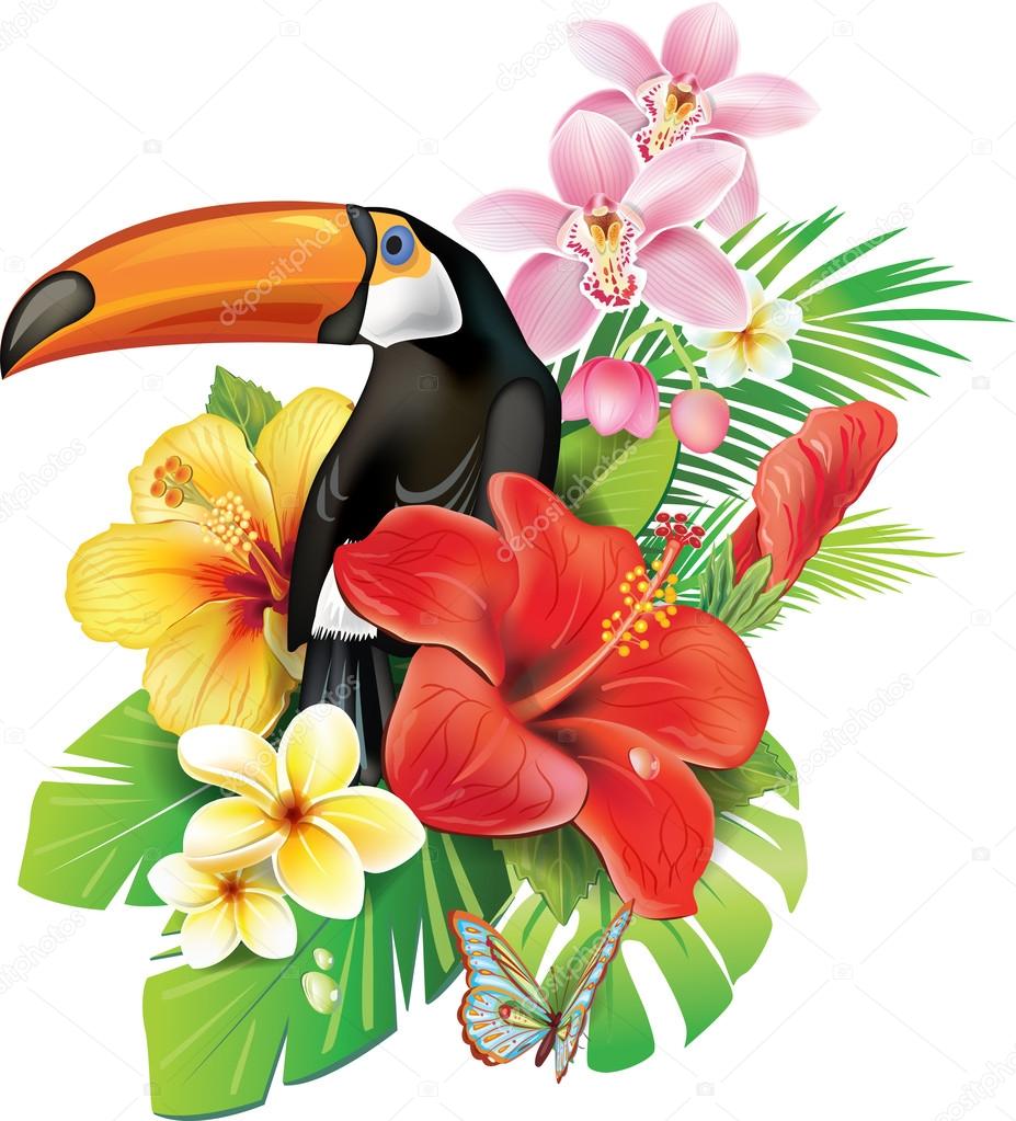 Tropical flowers and toucan