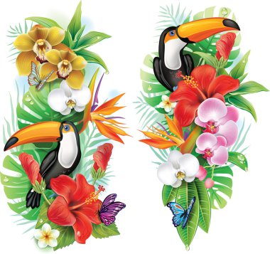 Tropical flowers, toucan and a butterflies clipart
