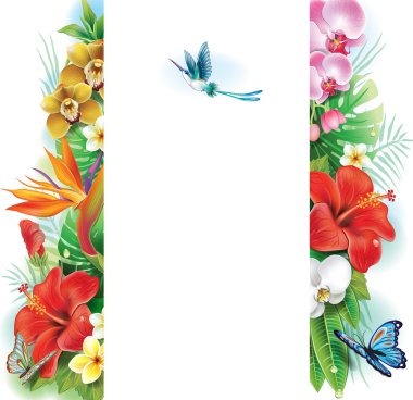 Banner from tropical flowers and leaves clipart