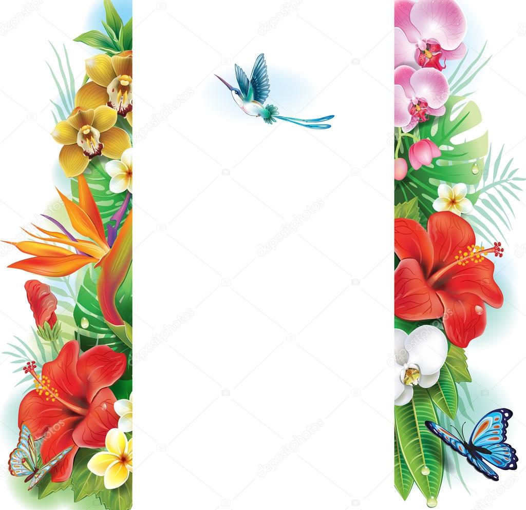 Banner from tropical flowers and leaves