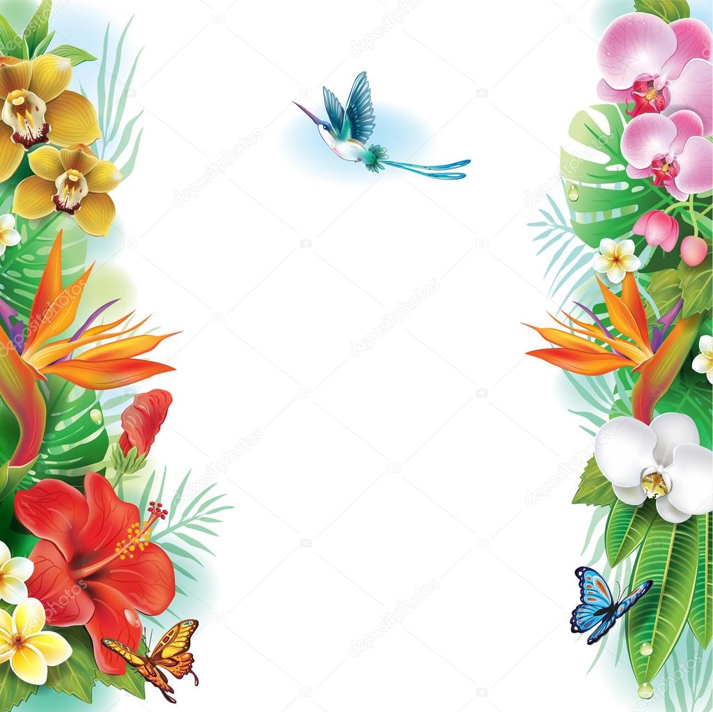 Border from tropical flowers and leaves