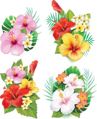 Arrangement from hibiscus flowers clipart