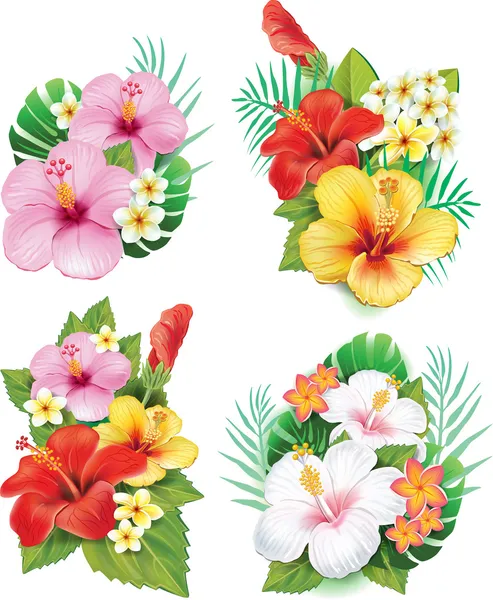 Arreglo de flores de hibisco — Vector de stock