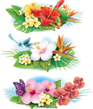 Arrangement from tropical flowers