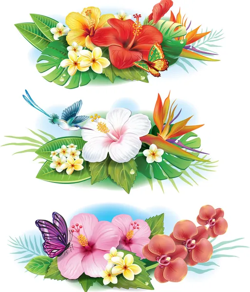 ハワイ Stock Vectors Royalty Free ハワイ Illustrations Depositphotos