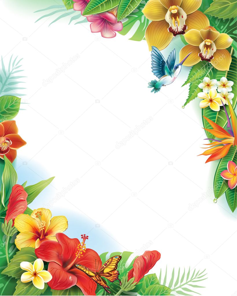 Background from tropical flowers and leaves