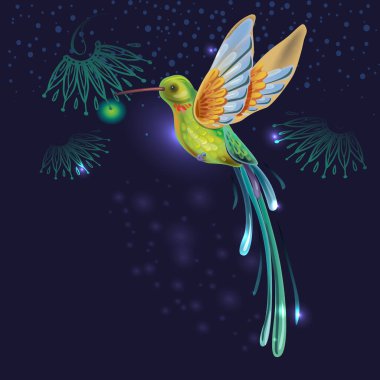 Bright Hummingbird on a dark background