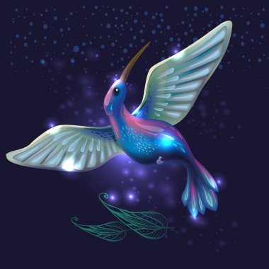Bright Hummingbird on a dark background