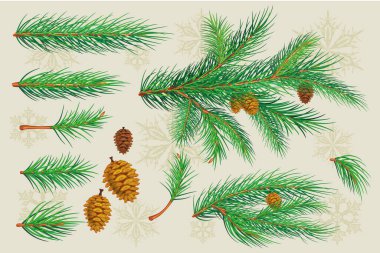 Pine Brunch Fırçaları BRUSH paletinde kullanılır. Bu fırçalarla kendi Noel kartlarınızı ve geçmişinizi oluşturun