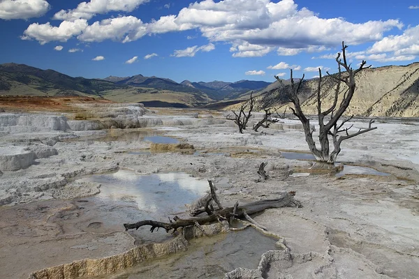 Yellowstone nationalpark — Stockfoto