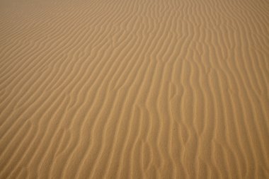 Sahara çöl manzarası, Mısır