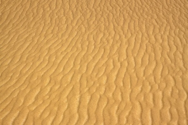 Sahara desert landscape,Egypt — Stock Photo, Image