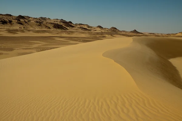 Sahara desert landscape,Egypt — Stock Photo, Image