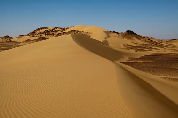 Sahara desert landscape,Egypt — Stock Photo, Image