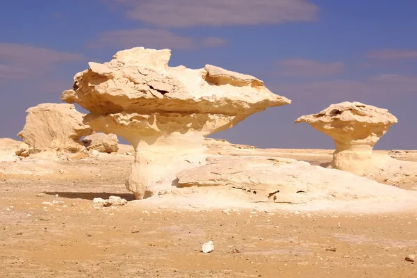 Estátua do deserto branco — Fotografia de Stock