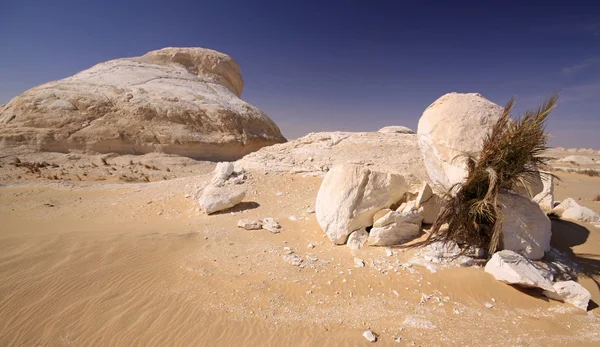 Sahara woestijn landschap, Egypte — Stockfoto