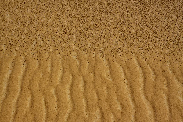 Sand texture in desert made by gold and black sand — Stock Photo, Image