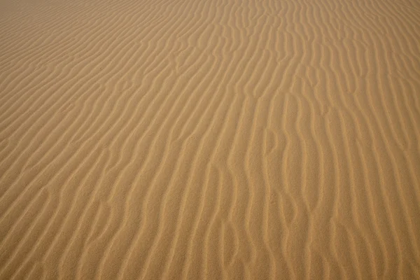 Sand texture in desert — Stock Photo, Image