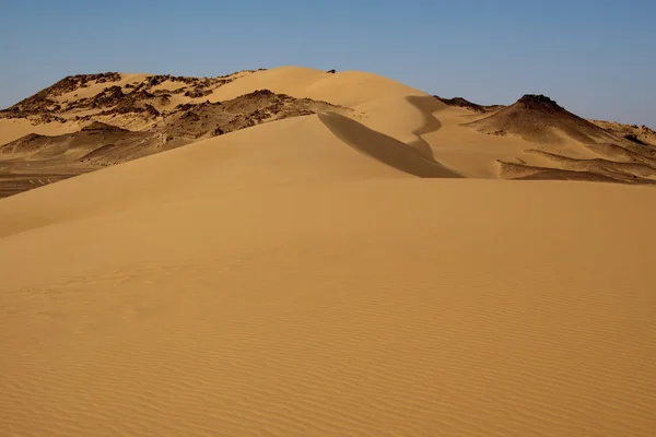 Sahara desert landscape,Egypt — Stock Photo, Image