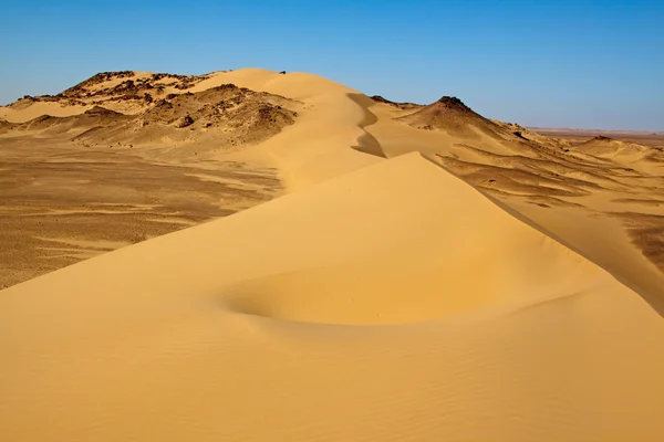 Sahara desert landscape,Egypt — Stock Photo, Image