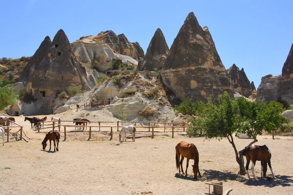 Formación de rocas en Capadocia —  Fotos de Stock