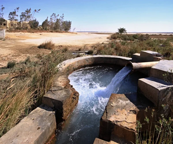 Bahar kharga oasis yakınındaki su