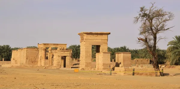 Храм Хибис — стоковое фото
