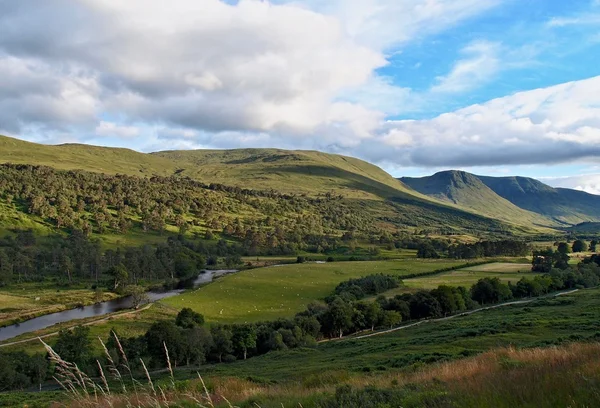Καλοκαίρι στα highlands της Σκωτίας Royalty Free Εικόνες Αρχείου