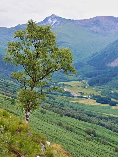 Sentier sur Ben Nevis dans les hautes terres écossaises — Photo