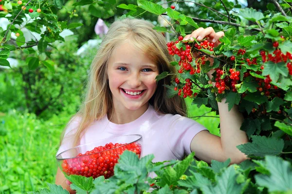 Fille avec groseille rouge — Photo