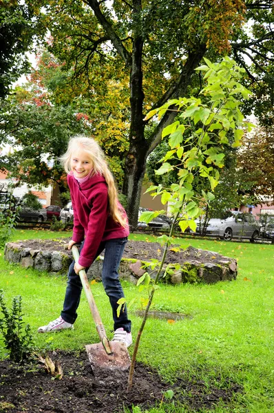 Jong meisje aanplant boom — Stockfoto