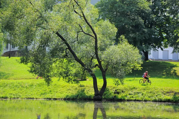 Lago verde. — Foto de Stock